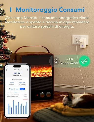 MSS310R-Meross Smart Power Soc - огляд і ціна Power Tools Google