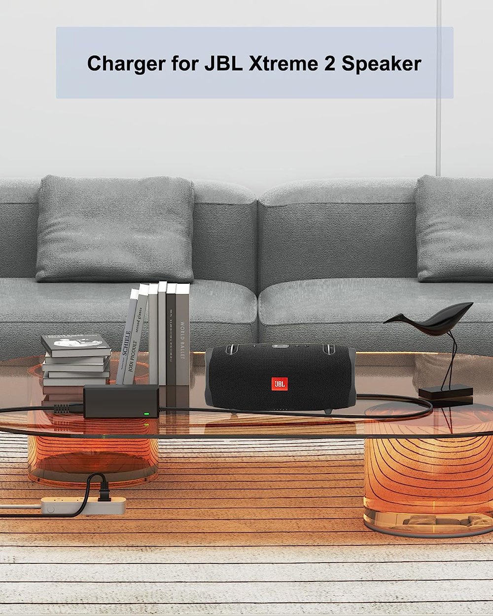 19V Charger Power Supply for X - огляд і ціна Xtreme Power Tools
